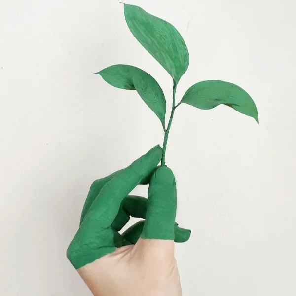 Avatar KOMUNITAS GO GREEN INDONESIA [DEMO APP] 